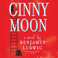 Ginny Moon Audiobook, by Benjamin Ludwig