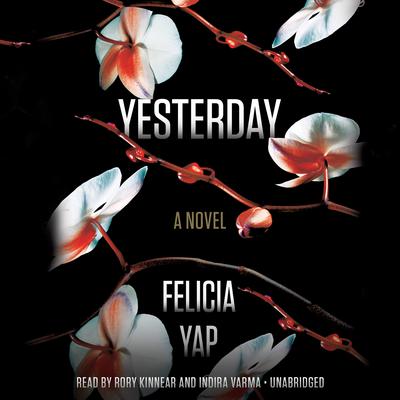 Yesterday Audiobook, by Felicia Yap