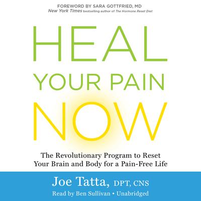 Heal Your Pain Now: The Revolutionary Program to Reset Your Brain and Body for a Pain-Free Life Audiobook, by Joe Tatta