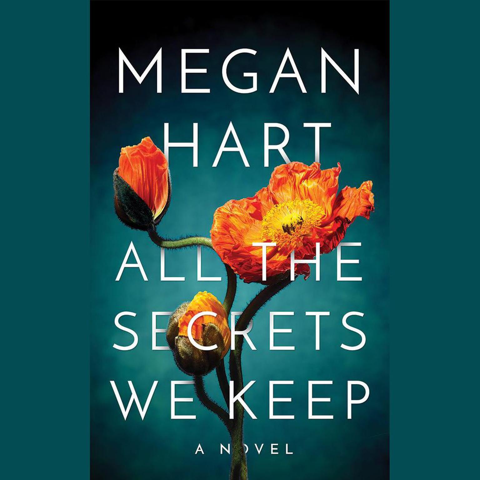 All the Secrets We Keep Audiobook, by Megan Hart