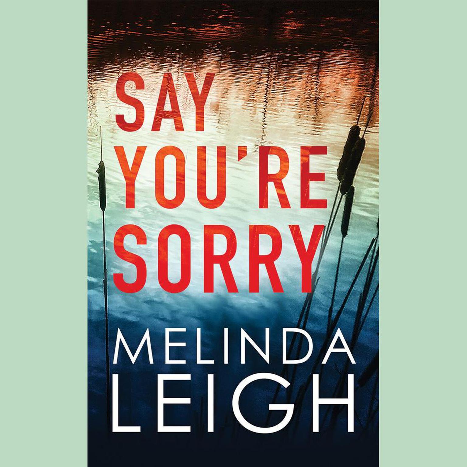 Say Youre Sorry Audiobook, by Melinda Leigh