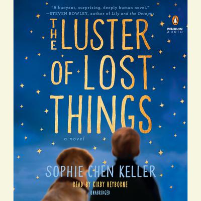 The Luster of Lost Things Audiobook, by Sophie Chen Keller