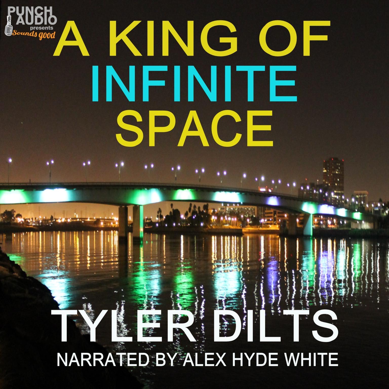 A King of Infinite Space Audiobook, by Tyler Dilts