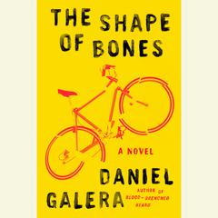 The Shape of Bones: A Novel Audiobook, by Daniel Galera