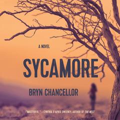 Sycamore: A Novel Audiobook, by 