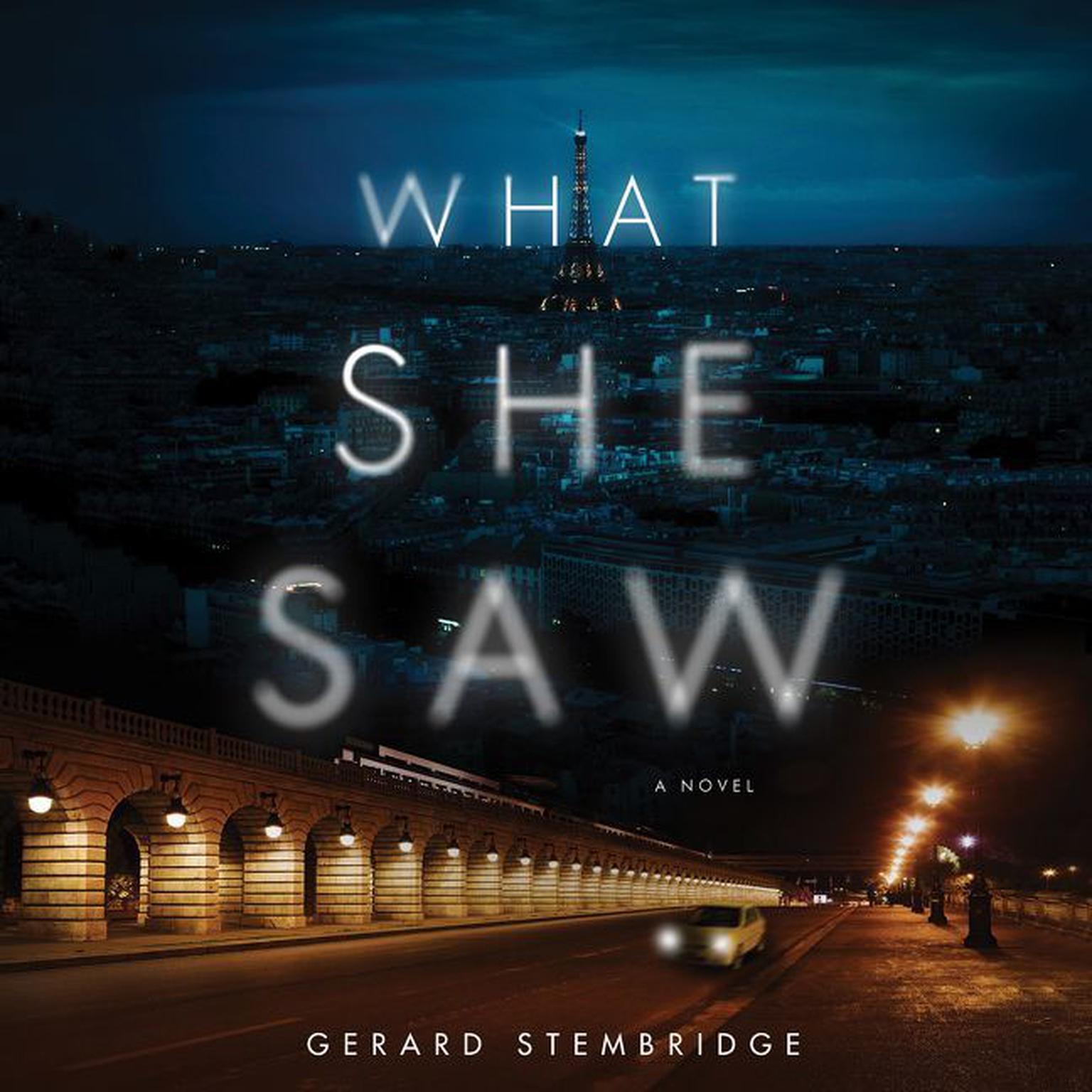 What She Saw: A Novel Audiobook, by Gerard Stembridge