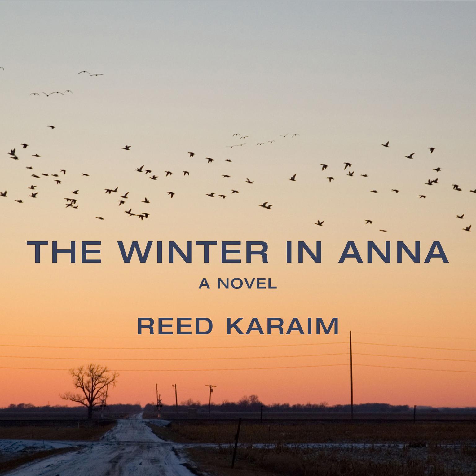 The Winter in Anna: A Novel Audiobook, by Reed Karaim