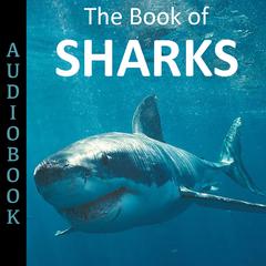 The Book of Sharks Audiobook, by My Ebook Publishing House