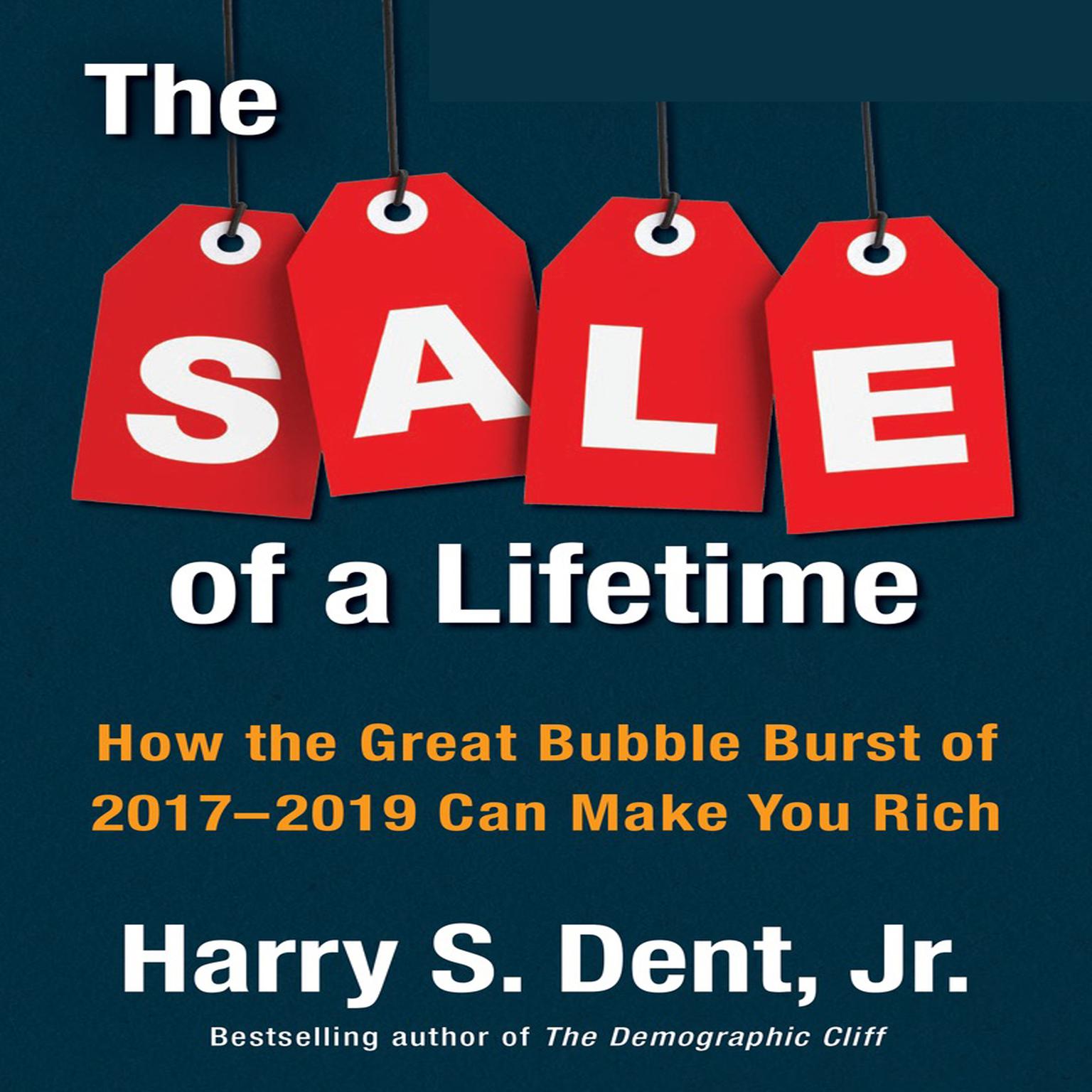 The Sale of a Lifetime: How the Great Bubble Burst of 2017-2019 Can Make You Rich Audiobook, by Harry S. Dent