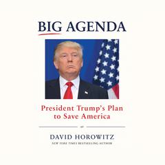 Big Agenda: President Trumps Plan to Save America Audiobook, by David Horowitz