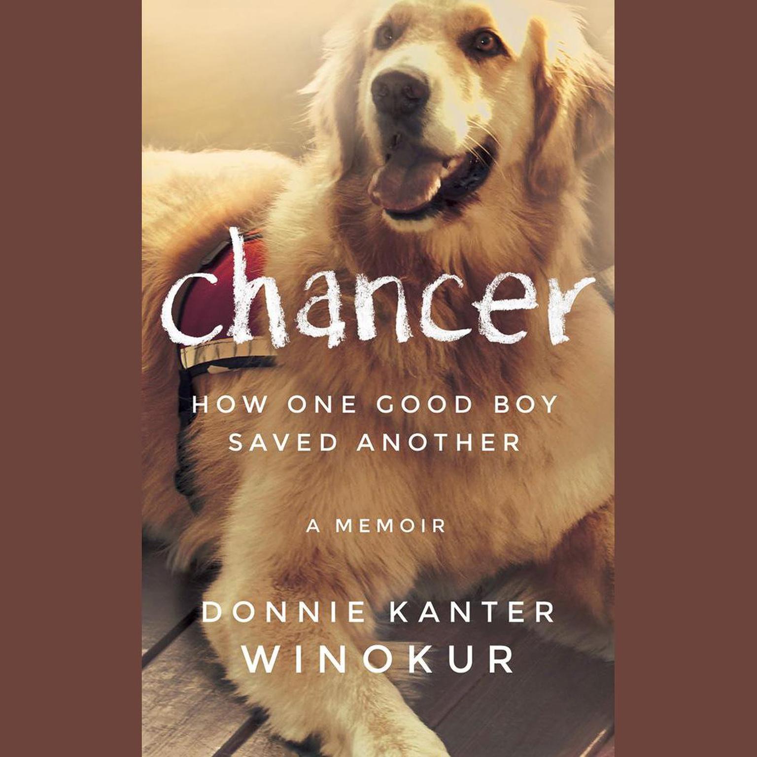 Chancer: How One Good Boy Saved Another Audiobook, by Donnie Kanter Winokur