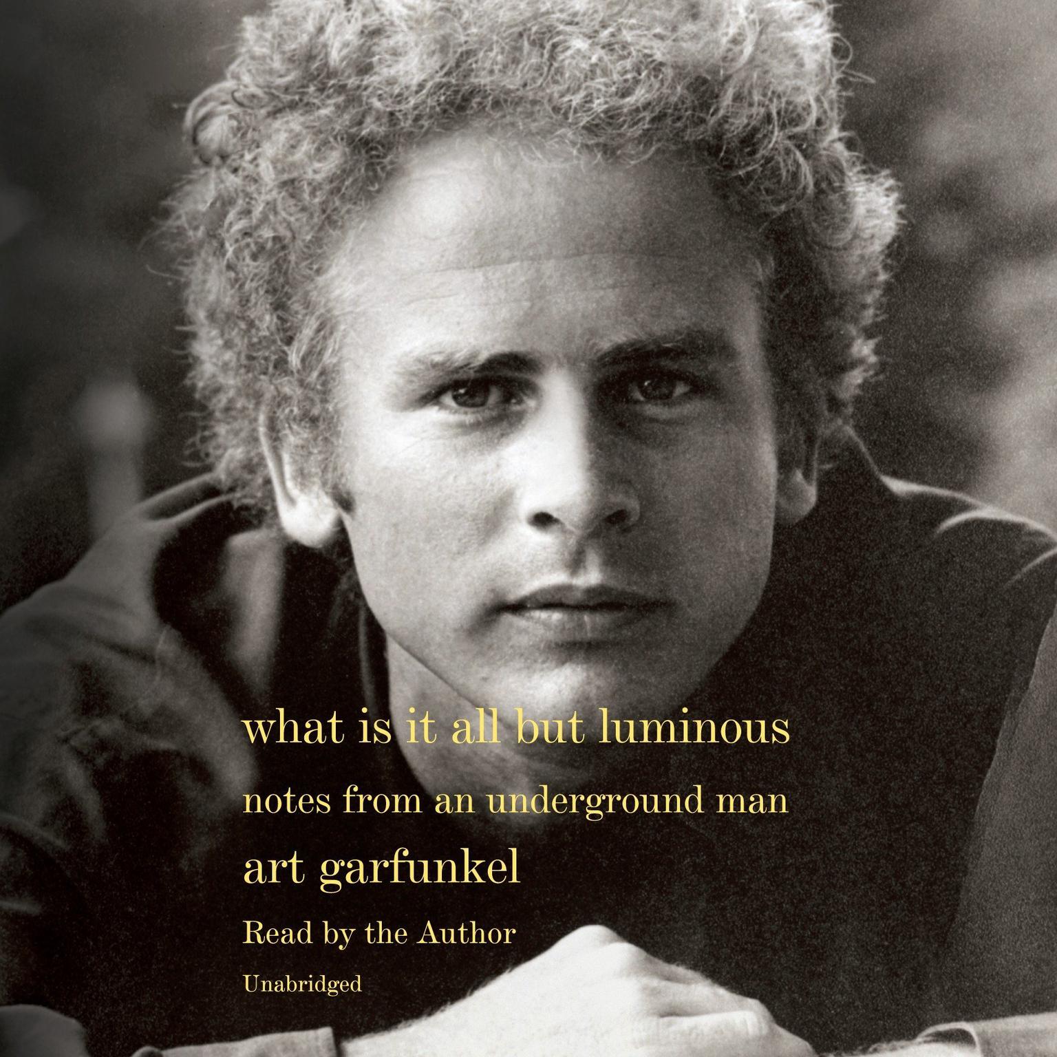 What Is It All but Luminous: Notes from an Underground Man Audiobook, by Art Garfunkel