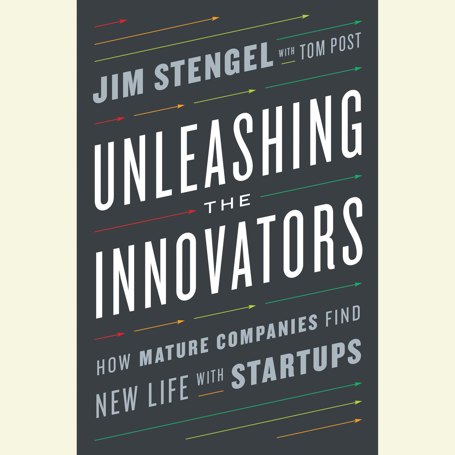 Unleashing the Innovators: How Mature Companies Find New Life with Startups Audiobook, by Jim Stengel