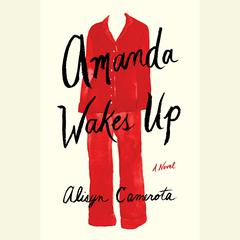 Amanda Wakes Up Audiobook, by Alisyn Camerota