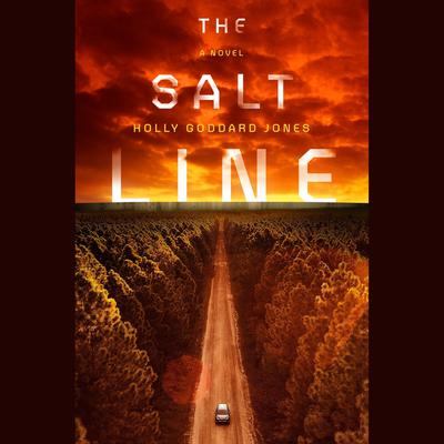 The Salt Line Audiobook, by Holly Goddard Jones