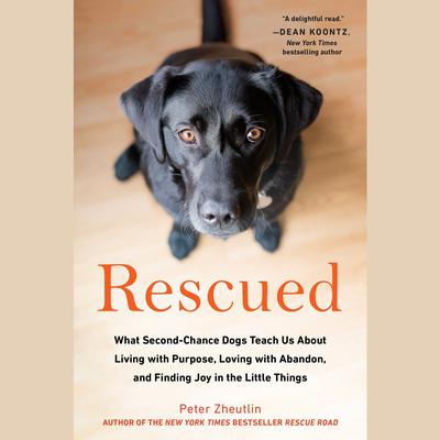 Rescued: What Second-Chance Dogs Teach Us About Living with Purpose, Loving with Abandon, and Finding Joy in the Little Things Audiobook, by Peter Zheutlin
