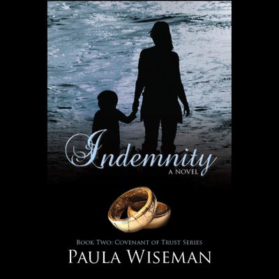 Indemnity Audiobook, by Paula Wiseman