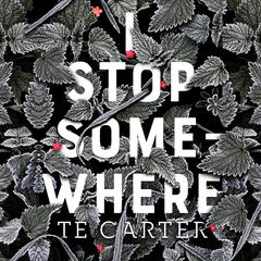 I Stop Somewhere Audiobook, by TE Carter