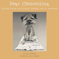 Dear Clementina Audiobook, by Colin Burke