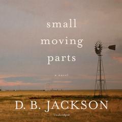 Small Moving Parts Audiobook, by D. B. Jackson
