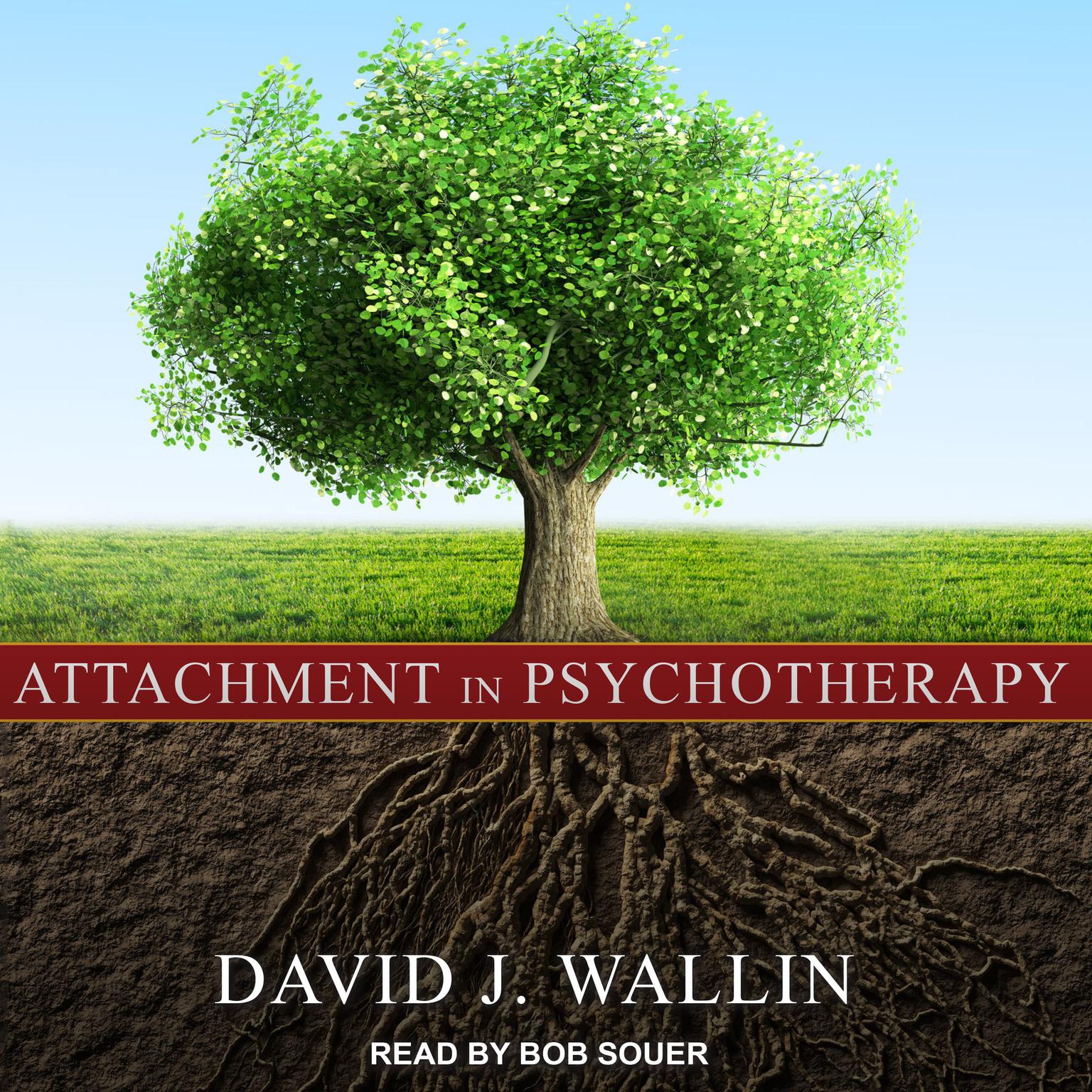 Attachment in Psychotherapy Audiobook, by David J. Wallin