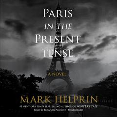 Paris in the Present Tense Audiobook, by 