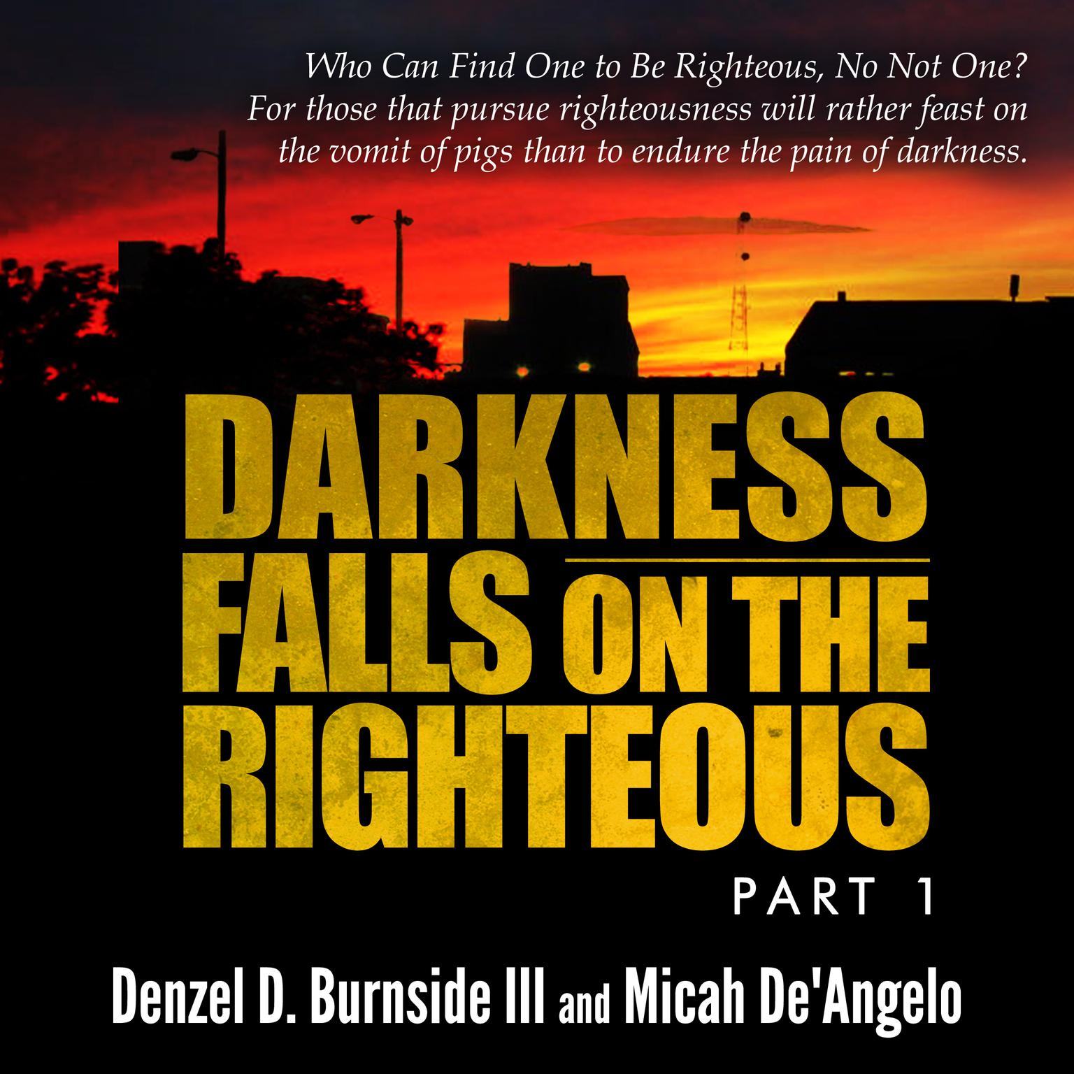 Darkness Falls On The Righteous Audiobook, by Denzel D. Burnside