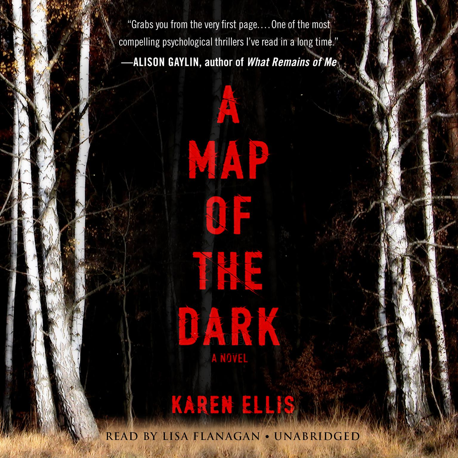 A Map of the Dark Audiobook, by Karen Ellis
