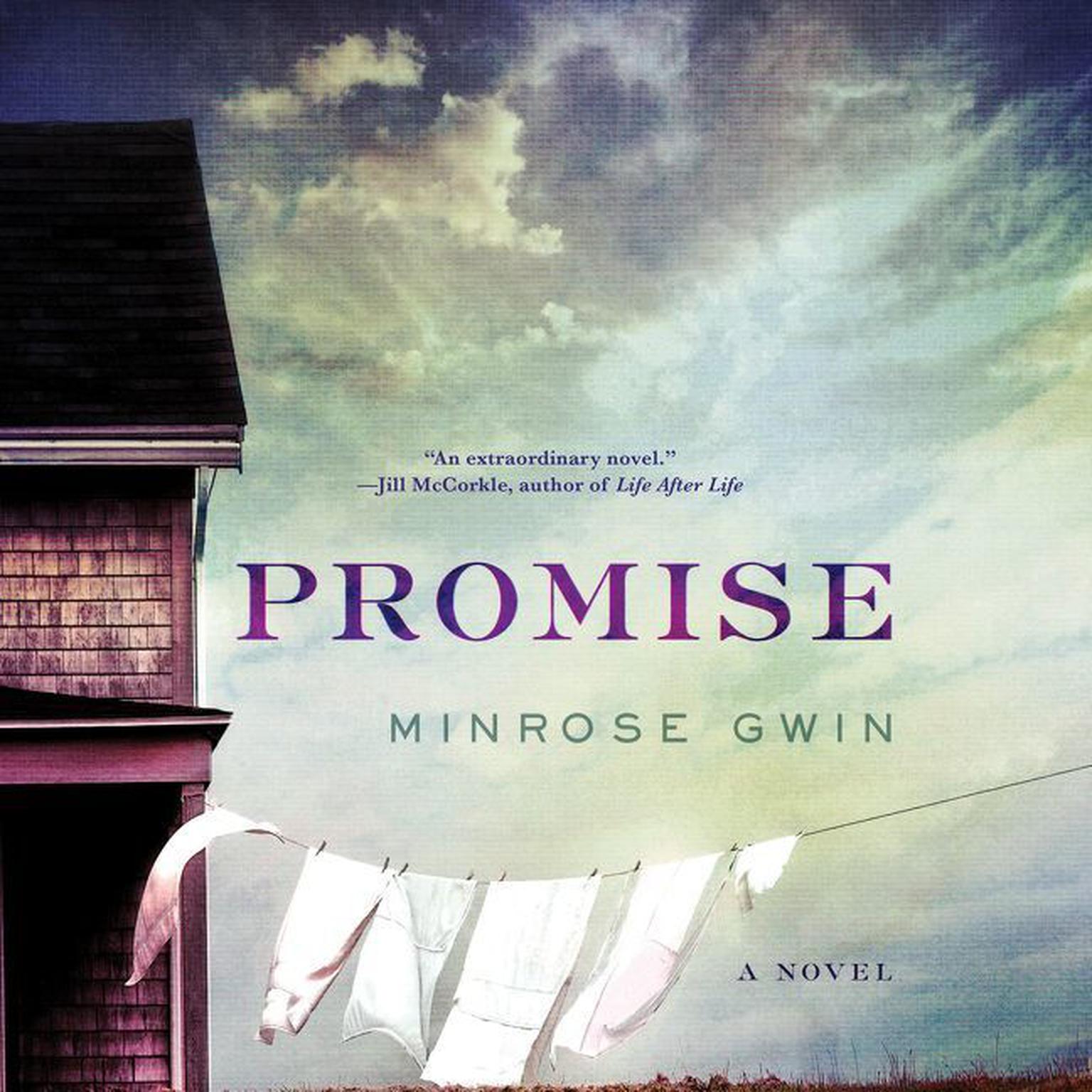 Promise: A Novel Audiobook, by Minrose Gwin