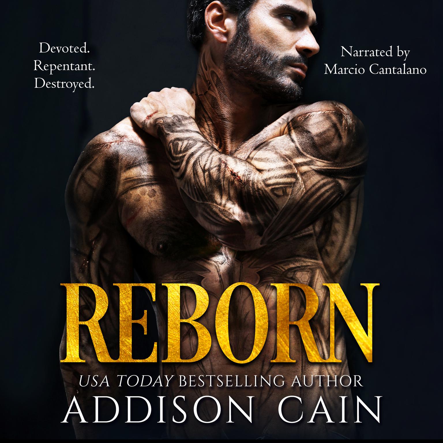Reborn Audiobook, by Addison Cain