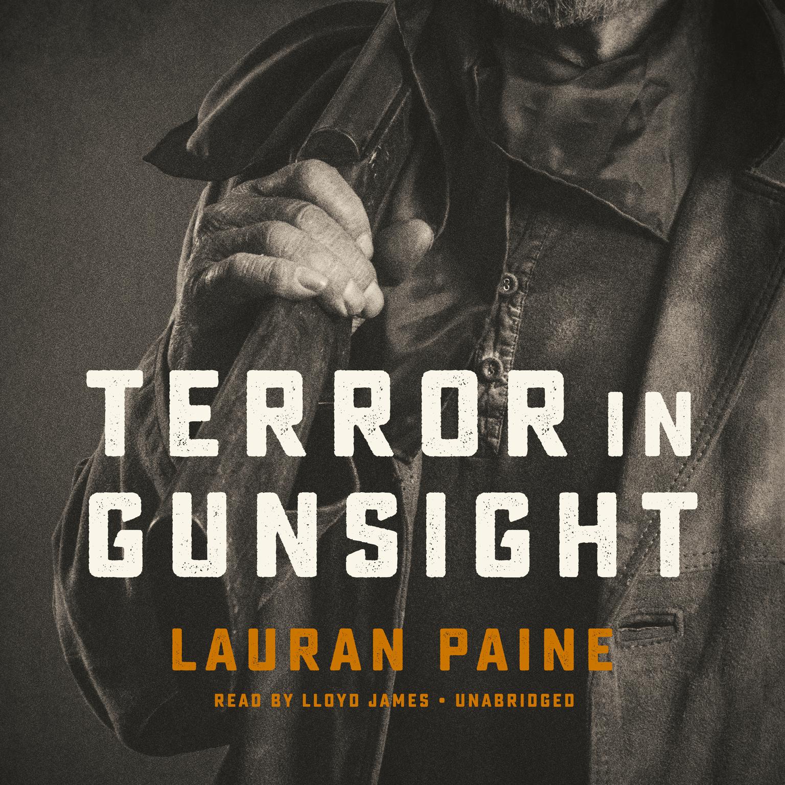 Terror in Gunsight Audiobook, by Lauran Paine