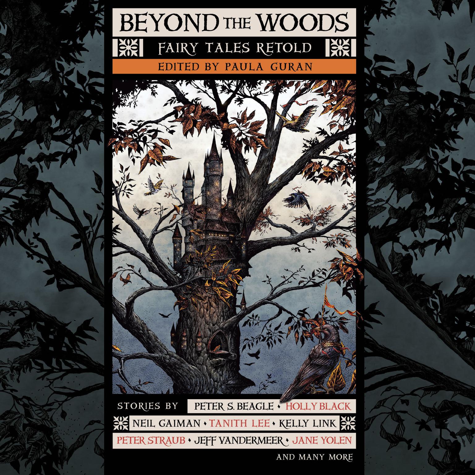 Beyond the Woods: Fairy Tales Retold Audiobook, by Paula Guran (editor)
