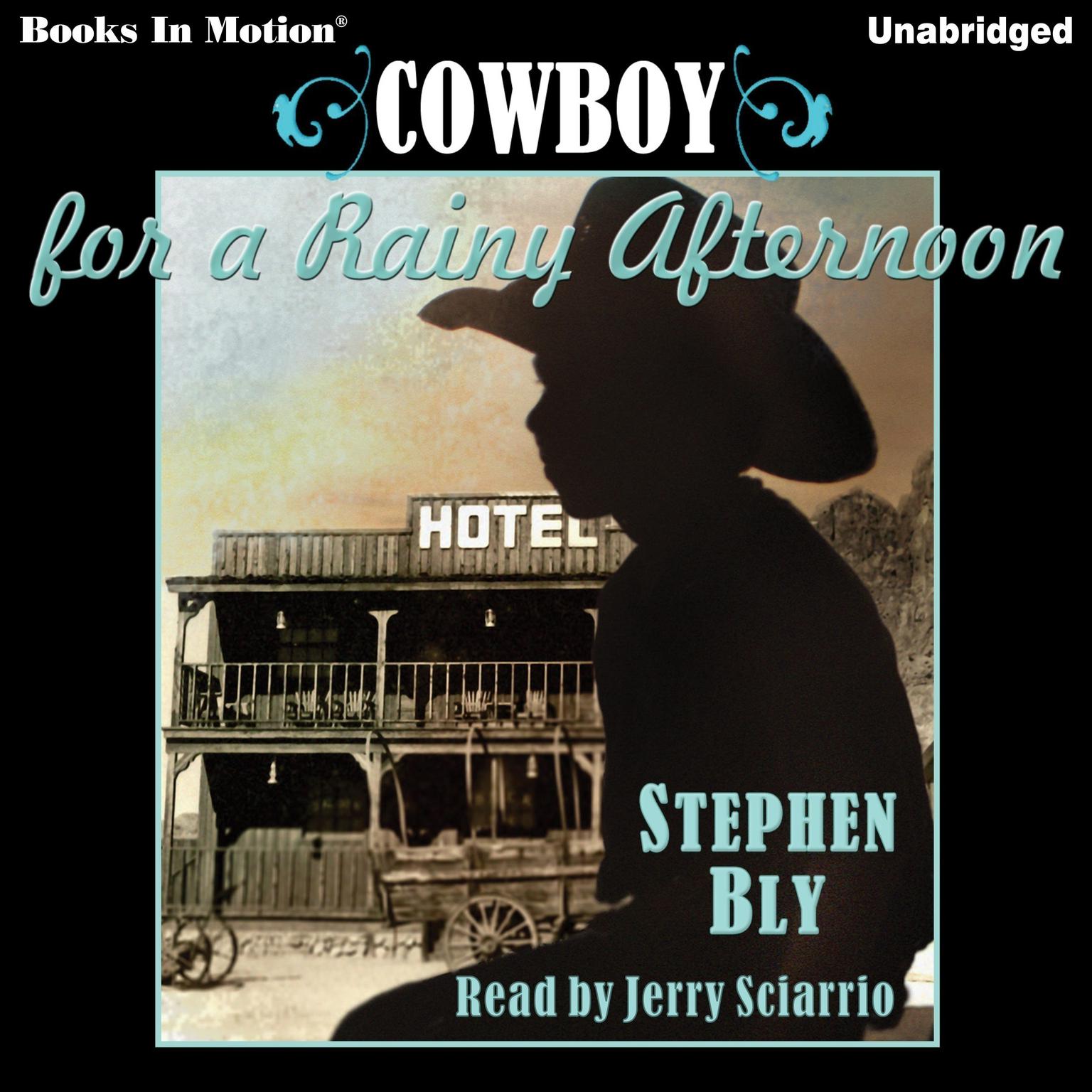 Cowboy For A Rainy Afternoon Audiobook, by Stephen Bly