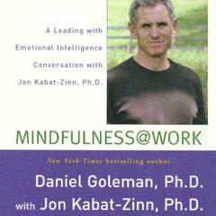 Mindfulness @ Work: A Leading with Emotional Intelligence Conversation with Jon Kabat-Zinn Audiobook, by Daniel Goleman