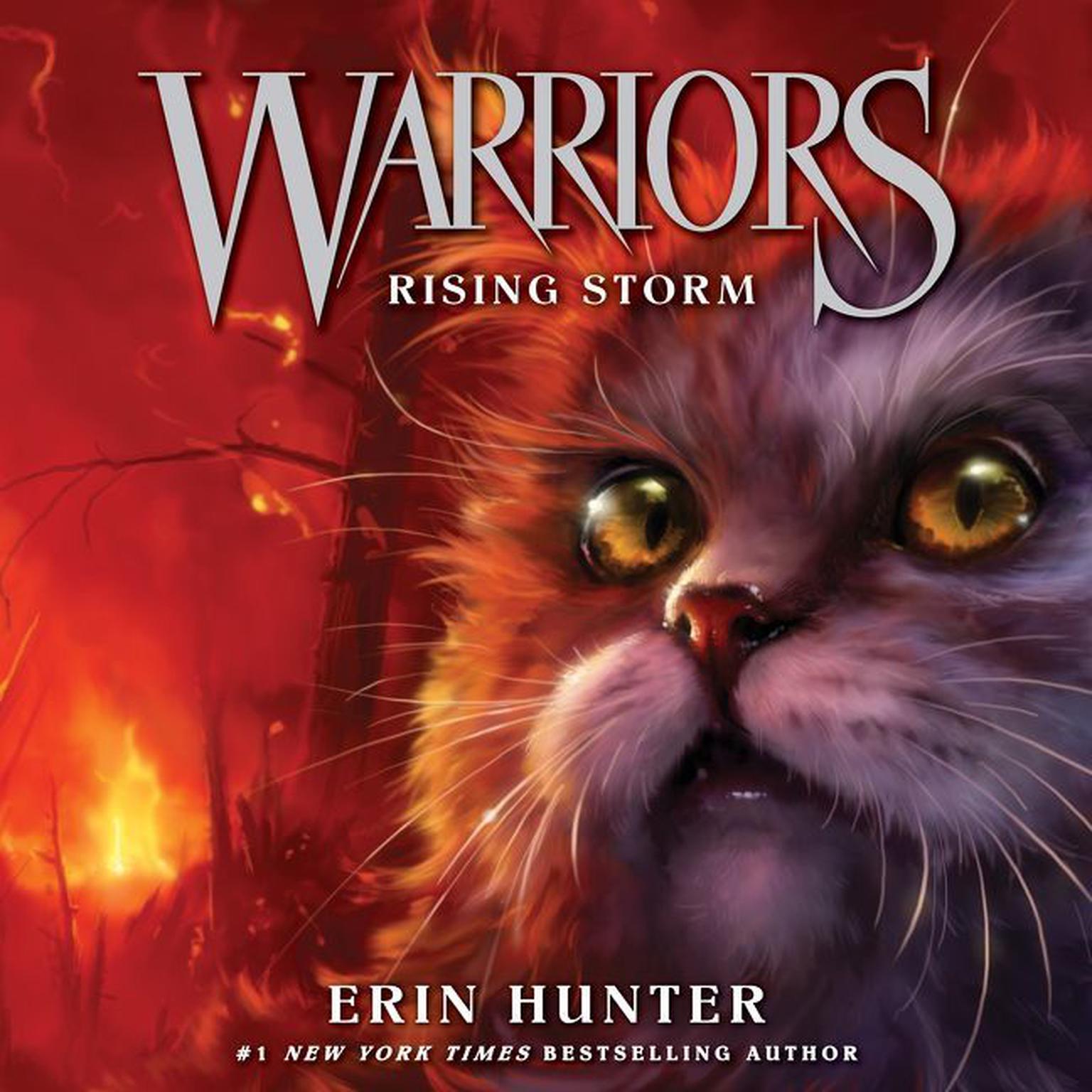 Warriors #4: Rising Storm Audiobook, by Erin Hunter