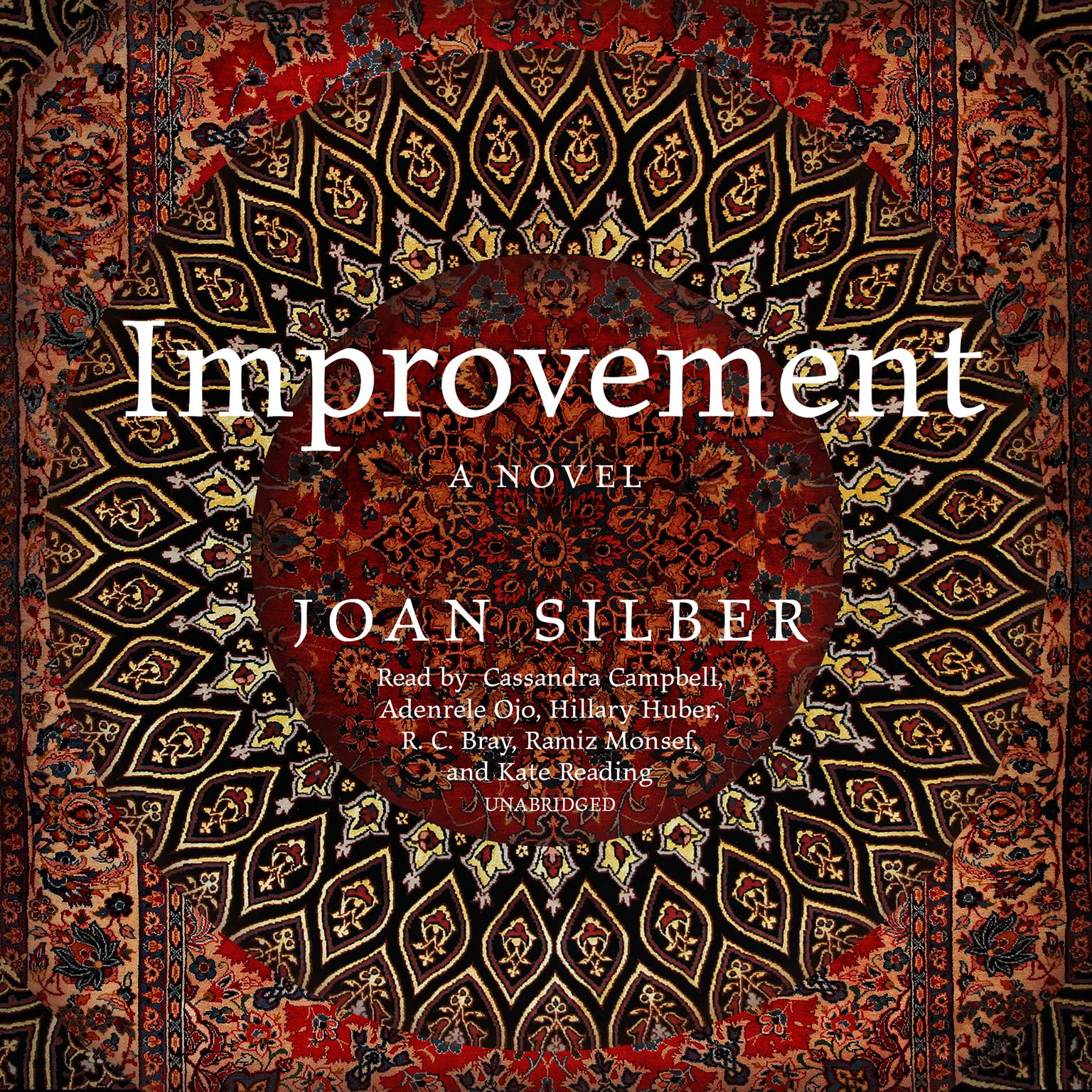 Improvement Audiobook, by Joan Silber
