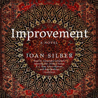 Improvement Audiobook, by Joan Silber