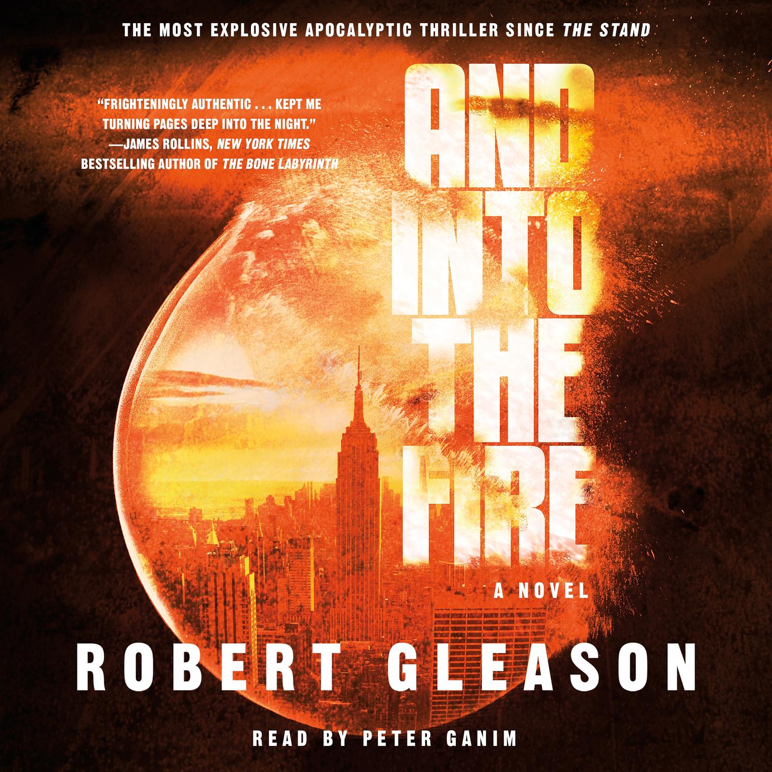 And Into the Fire: A Novel Audiobook, by Robert Gleason