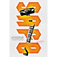 Safe: A Novel Audiobook, by Ryan Gattis