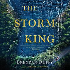The Storm King: A Novel Audiobook, by Brendan Duffy