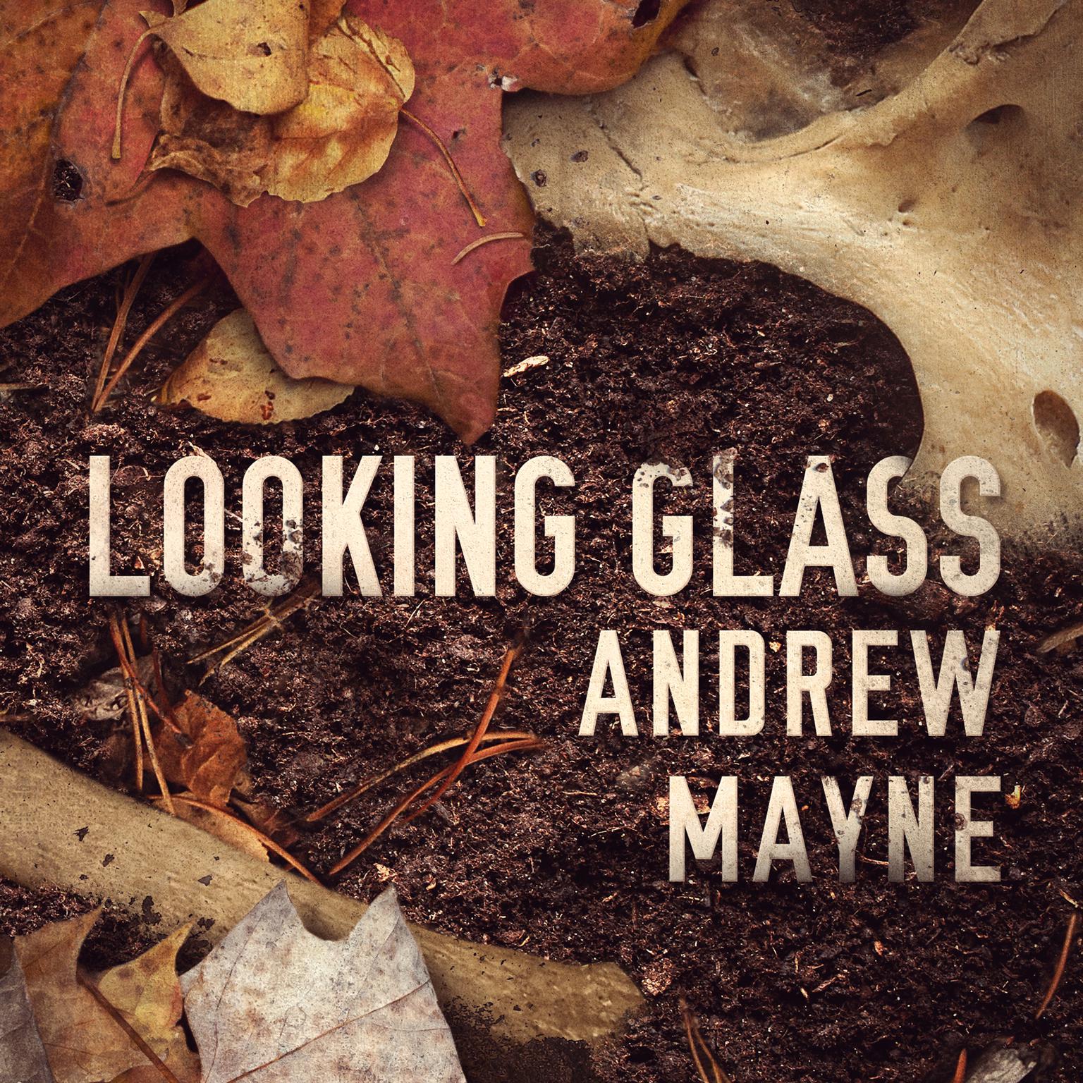 Looking Glass Audiobook, by Andrew Mayne