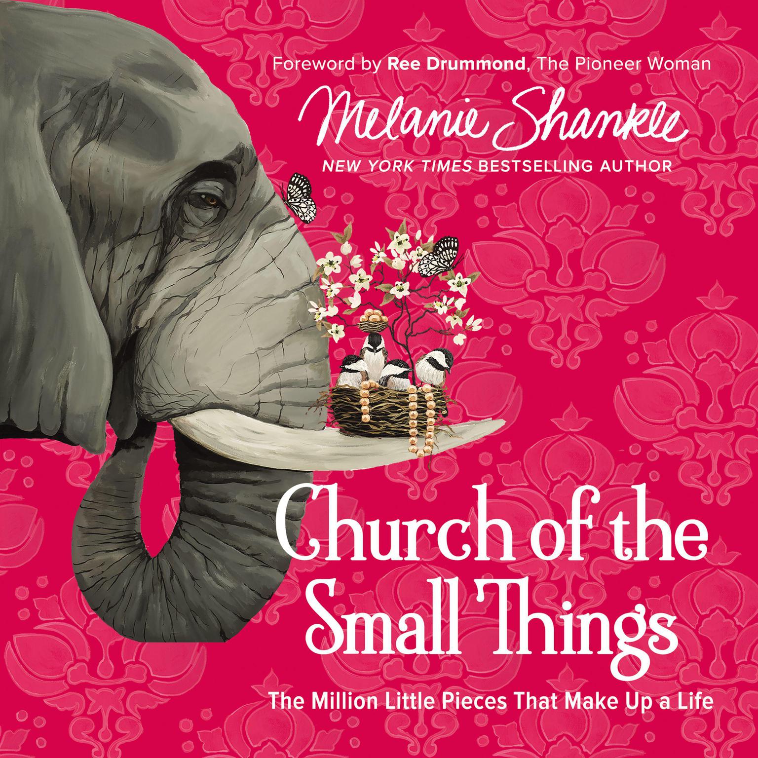 Church of the Small Things: The Million Little Pieces That Make Up a Life Audiobook, by Melanie Shankle