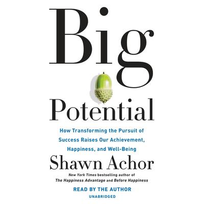 Big Potential: How Transforming the Pursuit of Success Raises Our Achievement, Happiness, and Well-Being Audiobook, by Shawn Achor