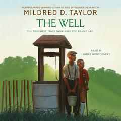 The Well Audiobook, by Mildred D. Taylor
