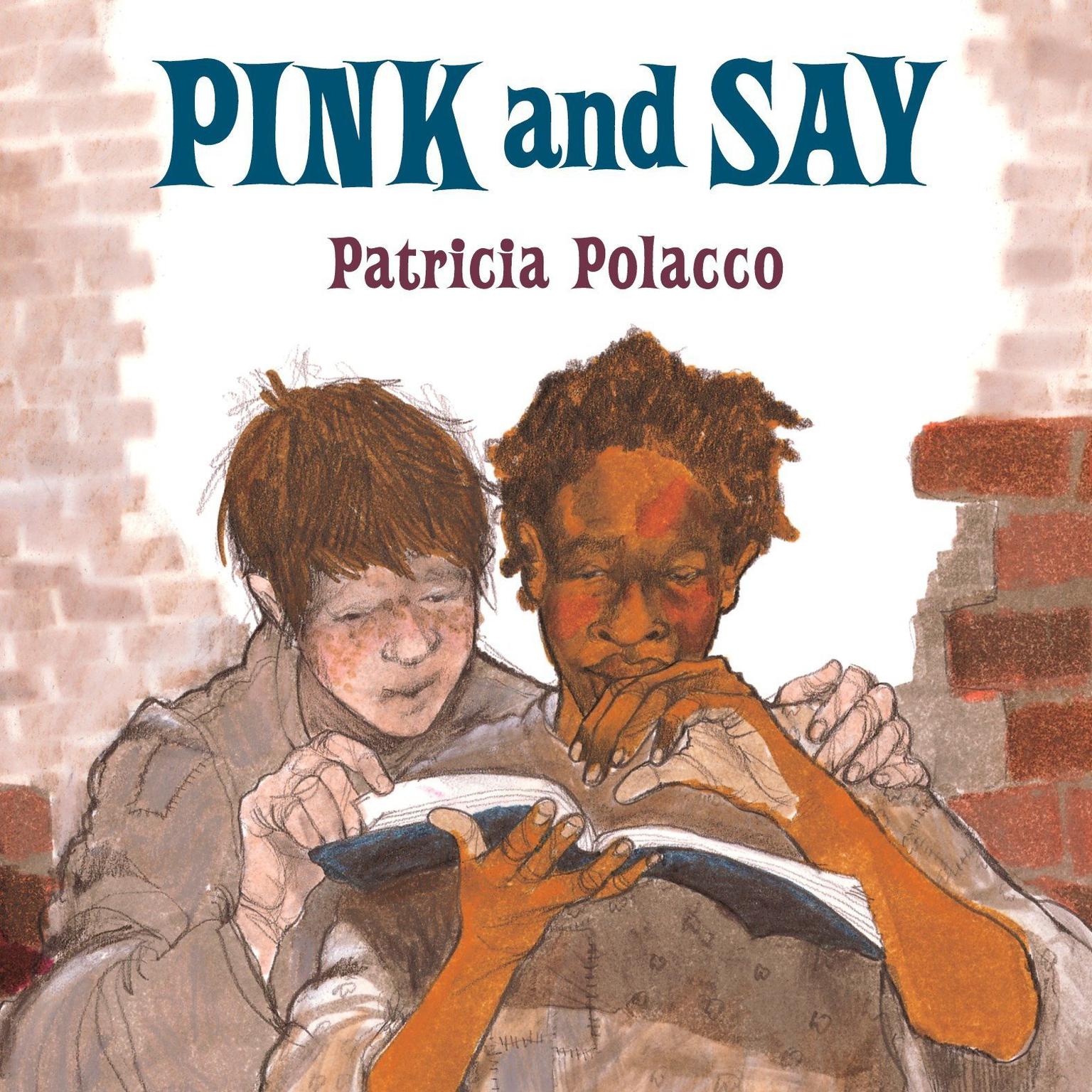 Pink and Say Audiobook