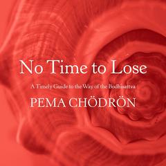 No Time to Lose: A Timely Guide to the Way of the Bodhisattva Audiobook, by 