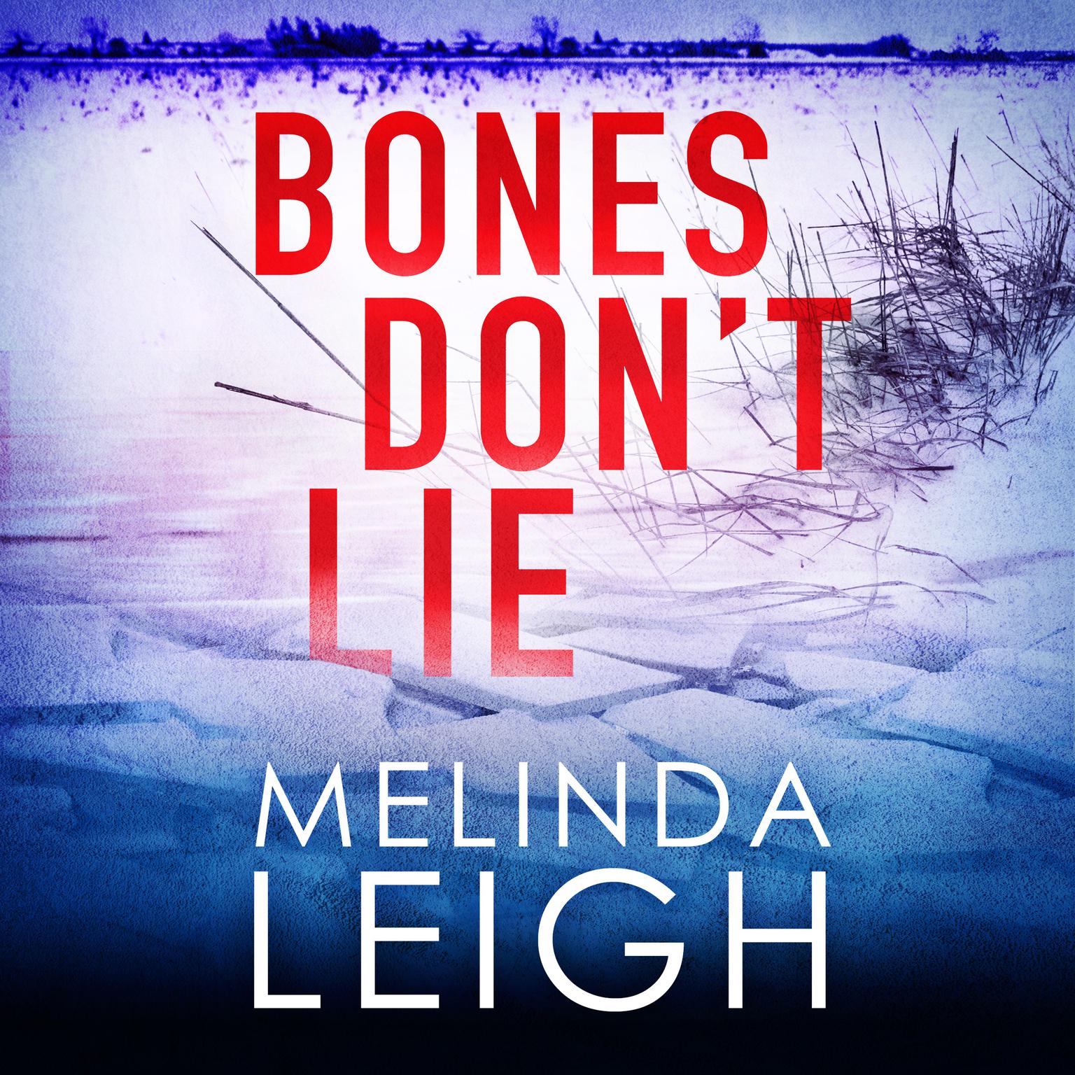 Bones Dont Lie Audiobook, by Melinda Leigh