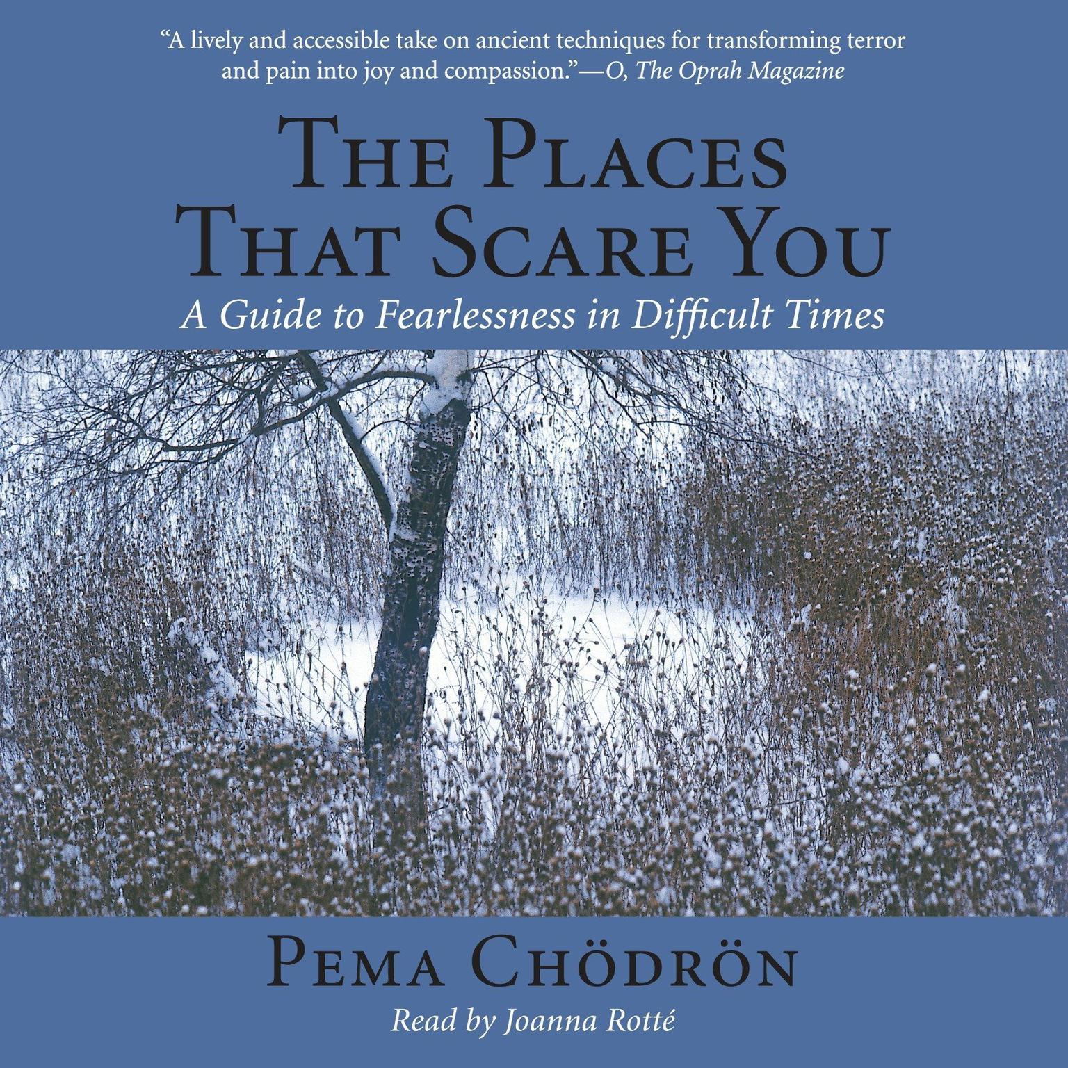 The Places That Scare You: A Guide to Fearlessness in Difficult Times Audiobook, by Pema Chödrön