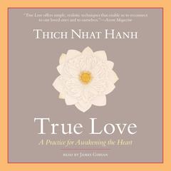 True Love: A Practice for Awakening the Heart Audiobook, by 