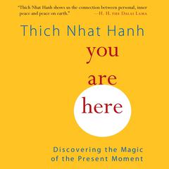 You Are Here: Discovering the Magic of the Present Moment Audiobook, by 